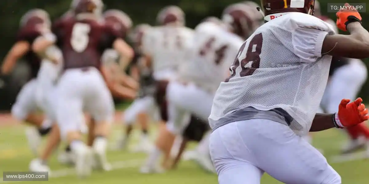 🚀 突破极限,超越自我,官网与你共赴体育新征程!